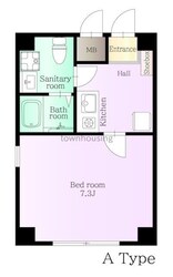 葛飾区亀有５丁目新築マンションの物件間取画像